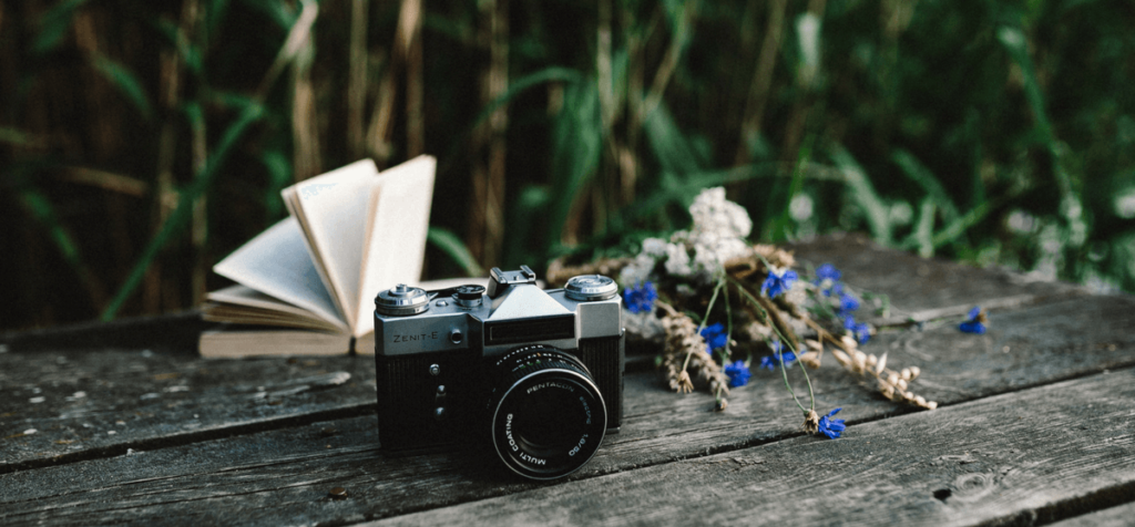 Holzsteg mit Schilf im Hintergrund auf dem eine Kamera, ein Buch und Blumen liegen